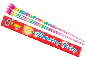 Morning glory 1