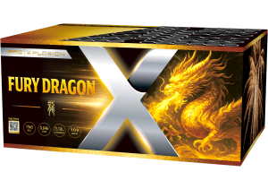 Fury Dragon